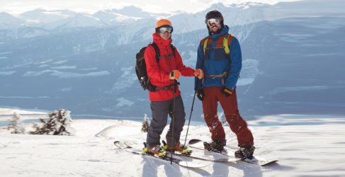 article img